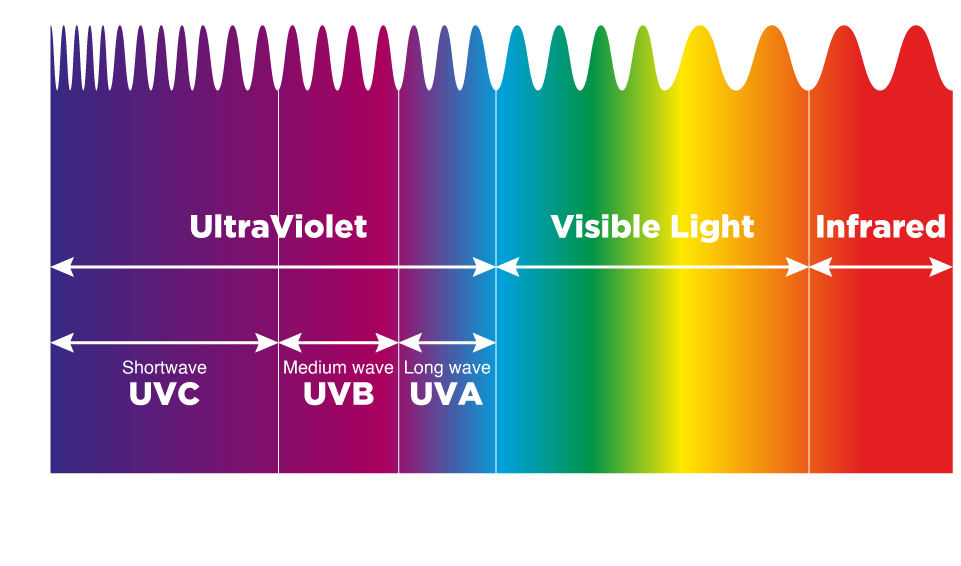 UV Flashlights - UltraViolet Light Spectrum | NightSearcher